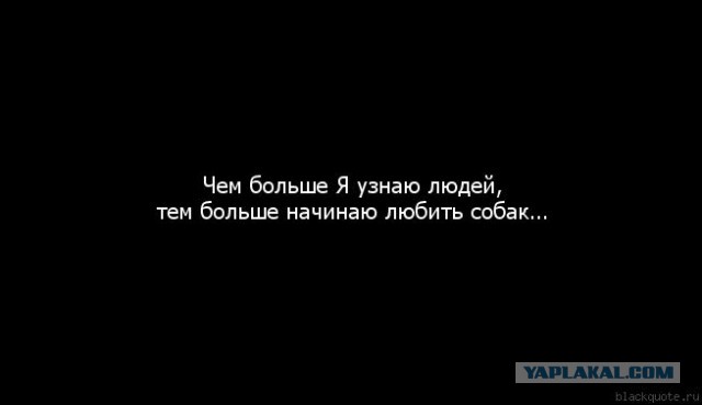 Дрочило на болотах