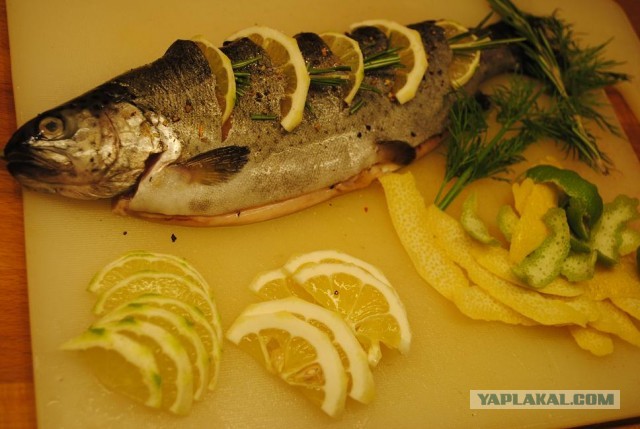 International одной книги., В память о Дженибеке.