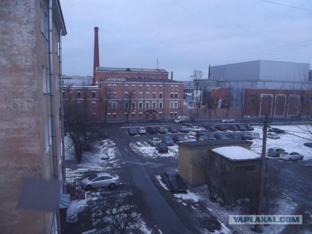 Взгляд на мир из окна московского пентхауса