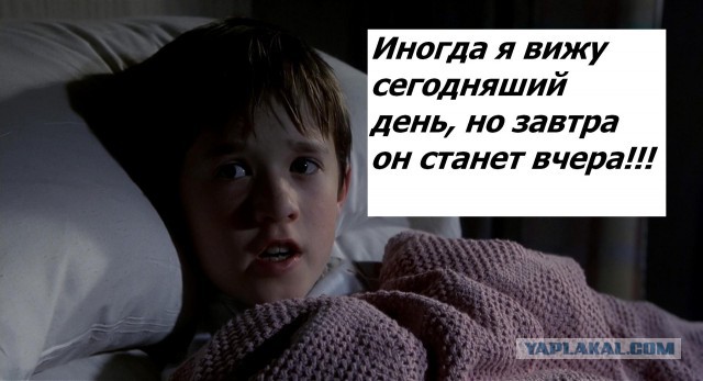Шта,простите?