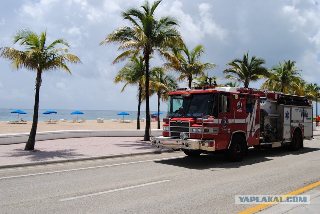 Каникулы во Флориде