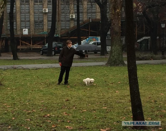 Сербия. Прогулки по Белграду и окрестностям.