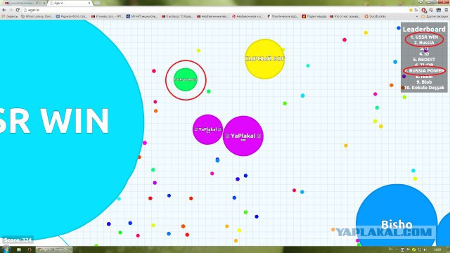 Симулятор жизни: agar.io