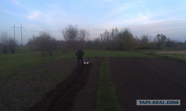 Санкциям назло