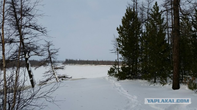 А что у вас за погода сейчас?