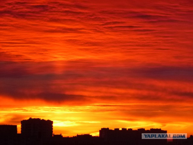 Я узнал, что у меня есть огромная семья