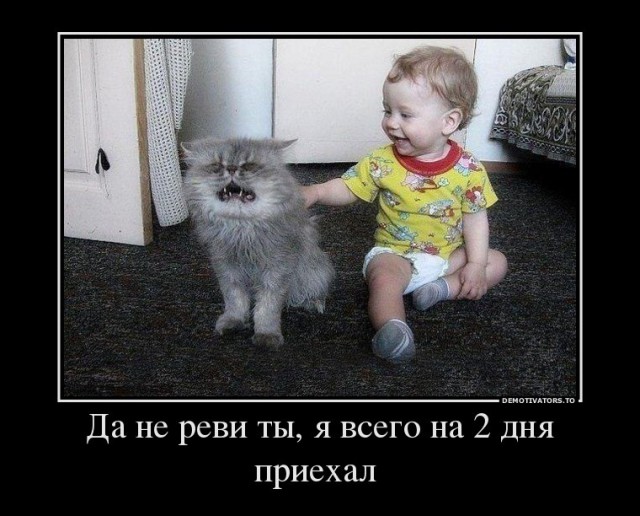 Подборка интересных и веселых картинок