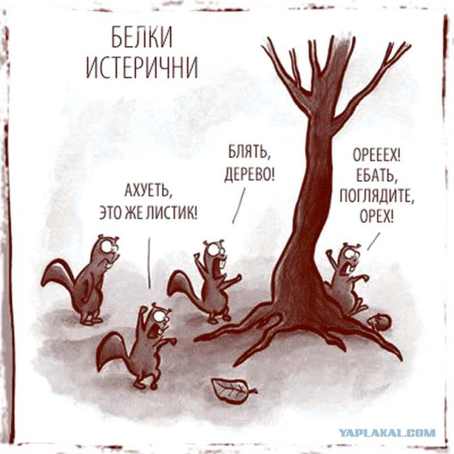 Почему все окружающие водители такие бараны?