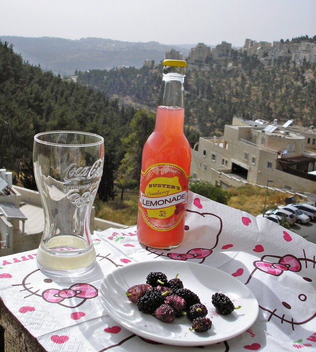 Фастфуд-пикник на день рождения ЯПа