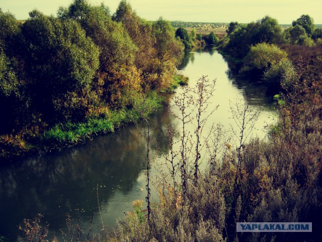 Подборка "тёплых, уютных, домашних" фотографий. Часть 2
