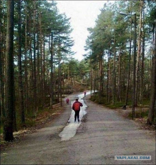 Соцсети - и смех и грех