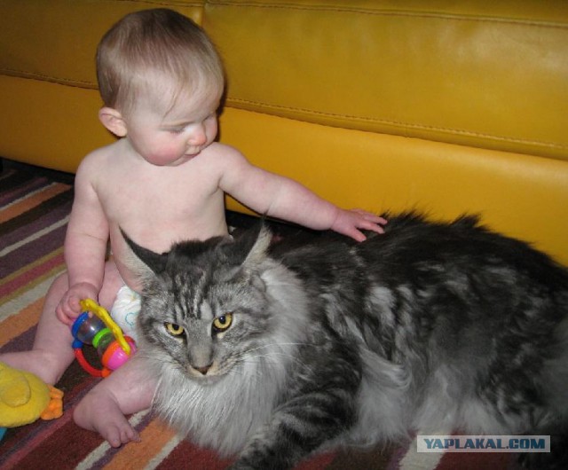 За дружбу надо платить