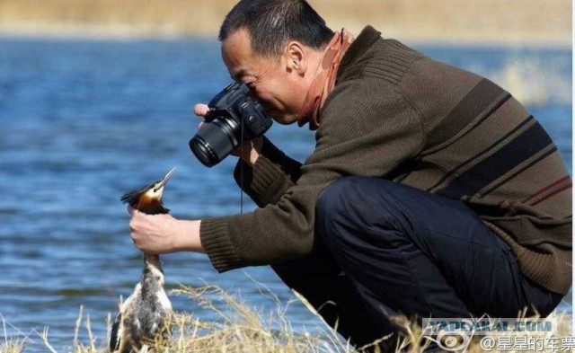 Купил "зеркалку" - считай фотограф