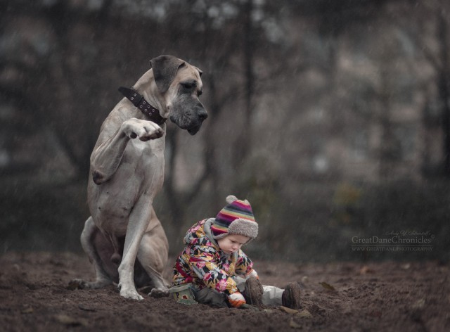 Мы с лучшим другом: фотографии детей и их больших собак