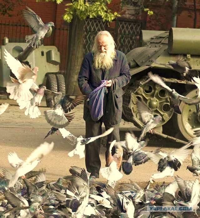 Подборка фотографий