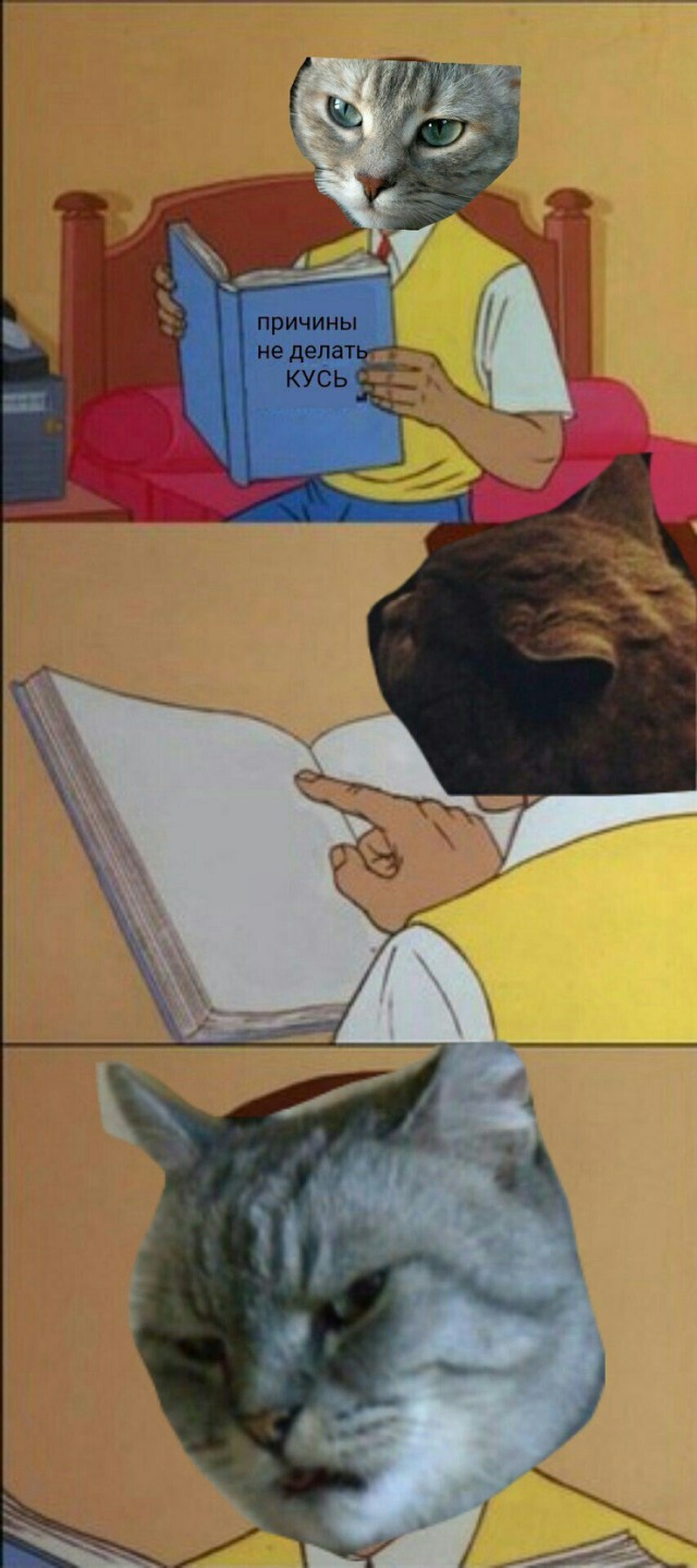 Просто юмор #24
