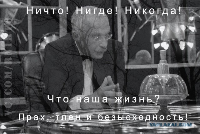 31 фото, после просмотра которых так и хочется воскликнуть: «Да что вы знаете о безысходности!»