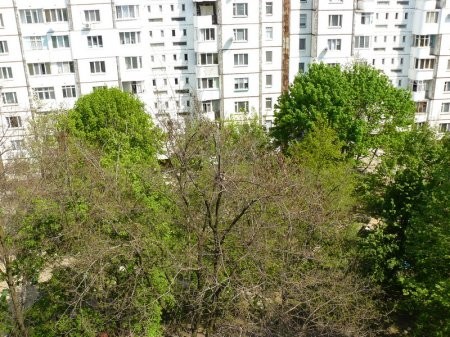 Гнездо