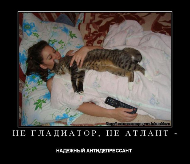Чтобы всё узнать о женщине – надо увидеть ее спящей