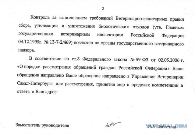 Помогите вернуть кота! Приют "Преданное сердце" украл кота и не отдает!-2