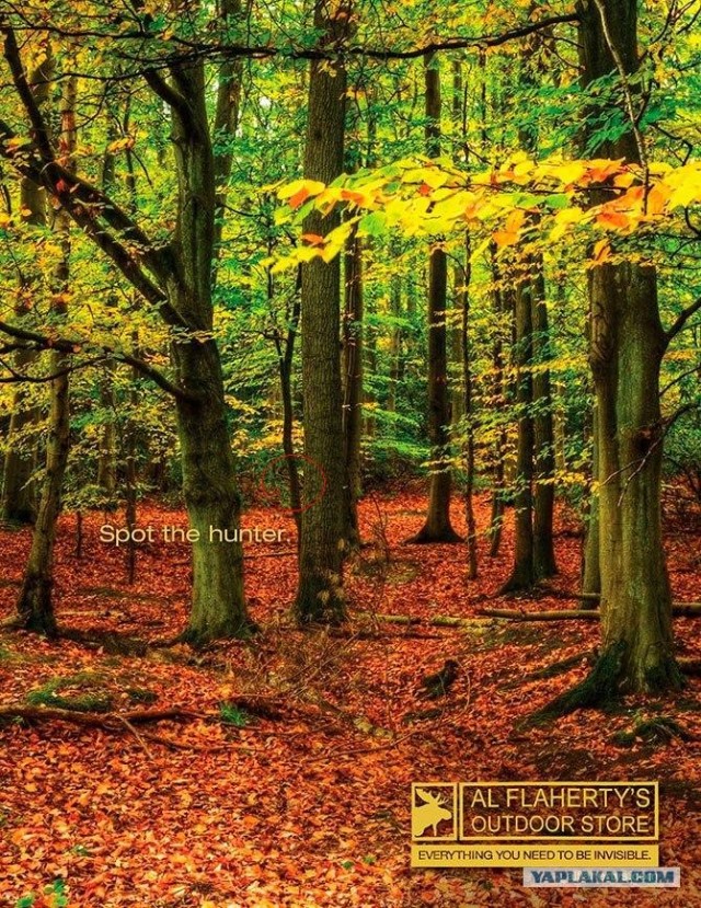 Лучшая печатная реклама