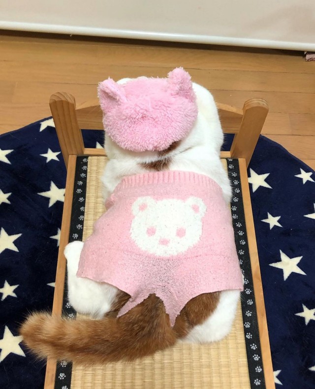 Эти забавные животные