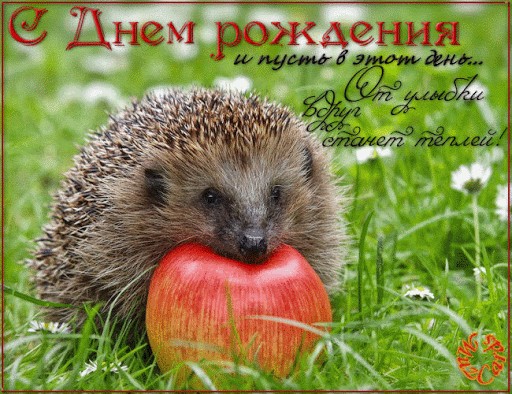 Десерт Соффиони для Маруси:)