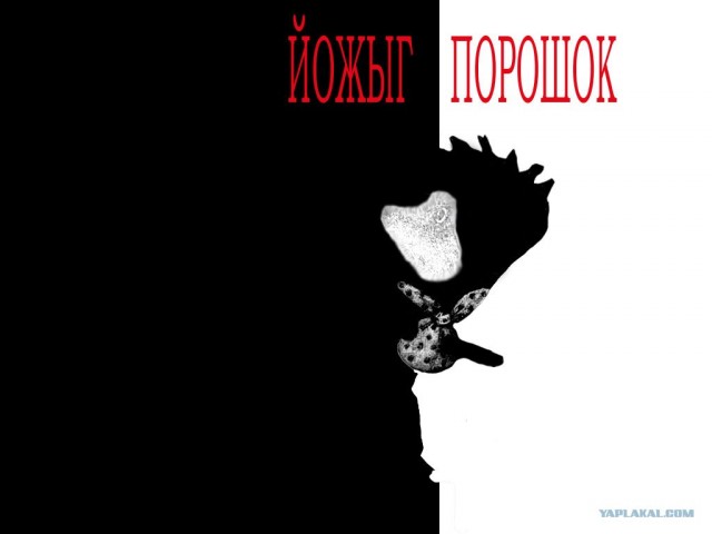 Порошок