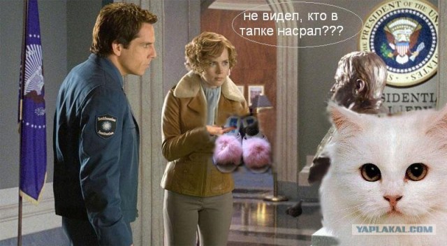Битва фотожаберов (команда №1), Ночь в музее