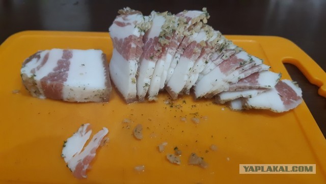 Почему нужно есть сало. Полезные свойства любимого народного продукта