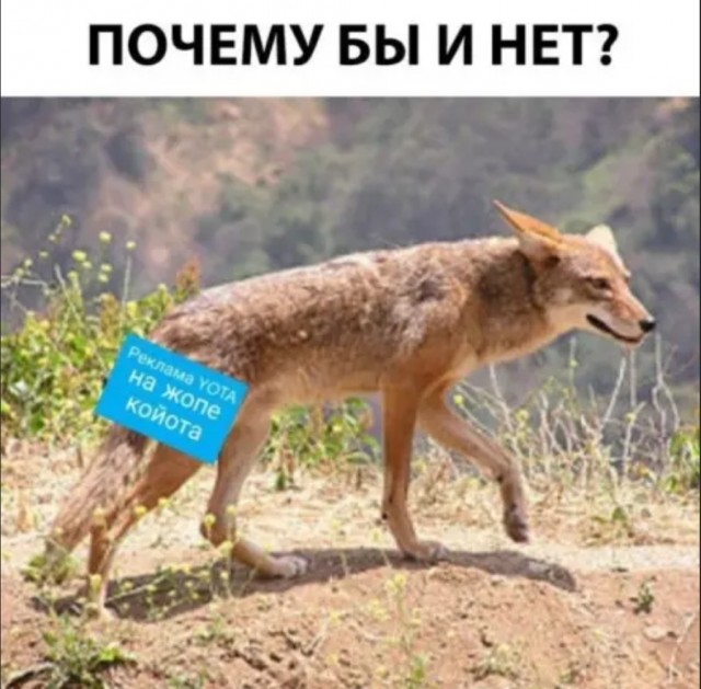 Бредзона 15.12.20