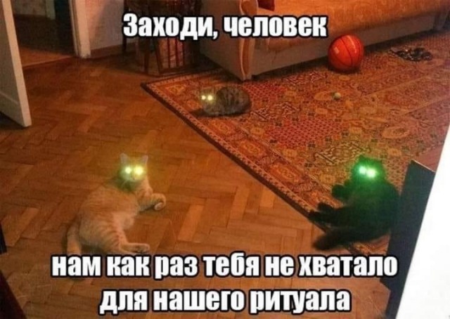 Картинки 09.01.21