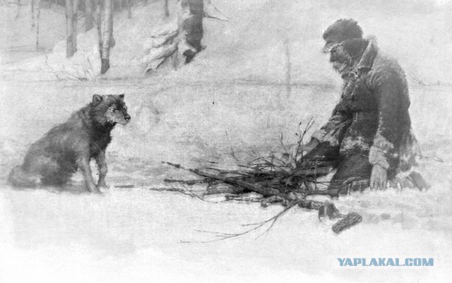 С Днём Рождения писатель (Джек Лондон)