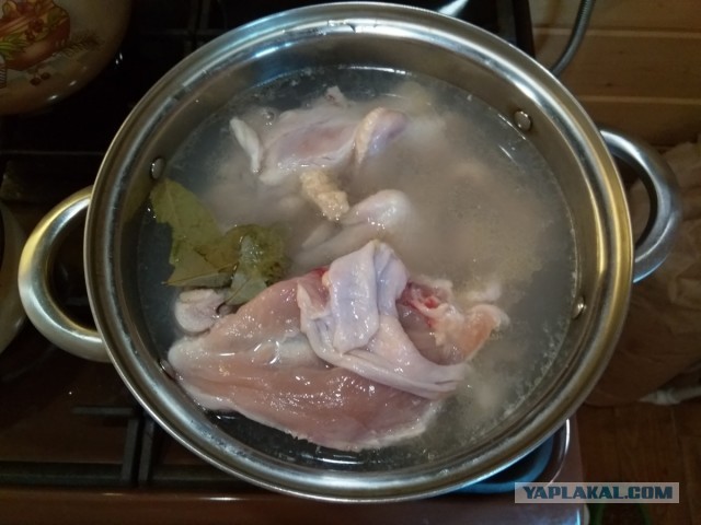 Нищебродам на заметку. Рваные курицы