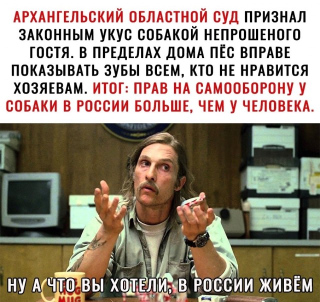 Дебилизмы из сети Night Edition 27.02.21