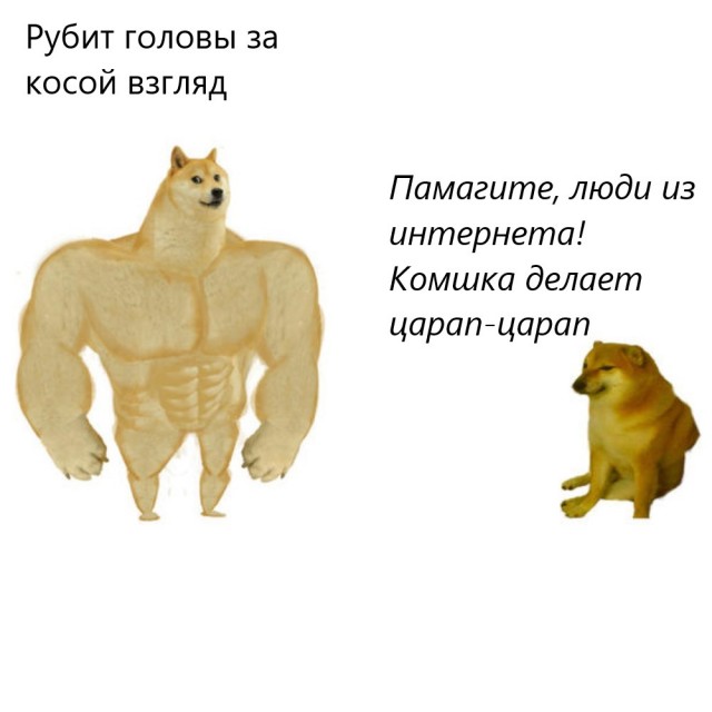 Ребят, помогите с кошкой! Это 3,14*дец!
