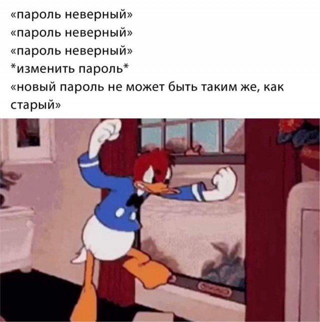 Юмор и прикольные картинки