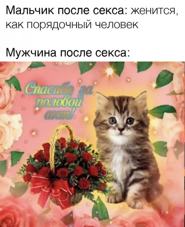Весёлый полтишок 26.04