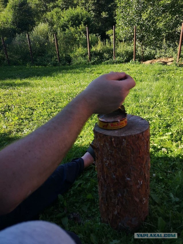 Сама стойкость и невозмутимость