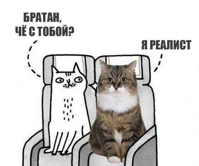 Весёлый полтишок 30.06.2021