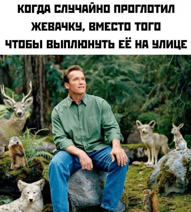 Весёлый полтишок 2.07