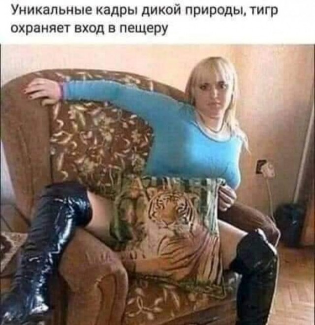 Всяческие картинки 08.11.2021