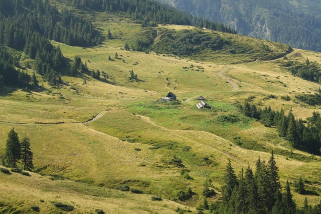 Карпаты, Закарпатье.