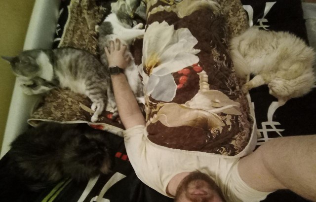 Котовторник 21.12.21