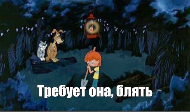 "За нами МОРГ!" Что у них в головах?!