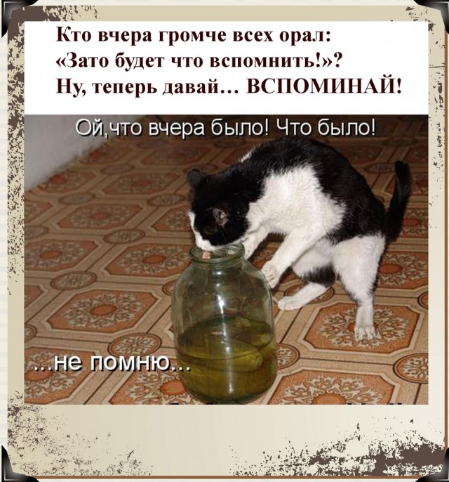 Так себе картинки 01.06.22