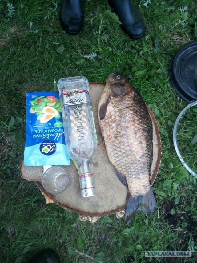 Карась пойман.