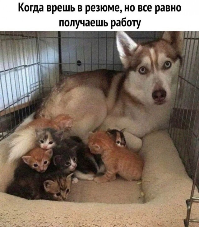 Так себе картинки 01.07.22