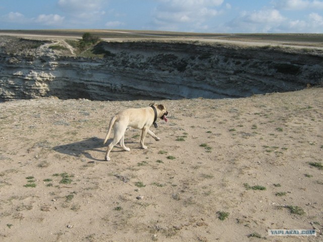 Мыс Тарханкут - самая западная точка Крыма.