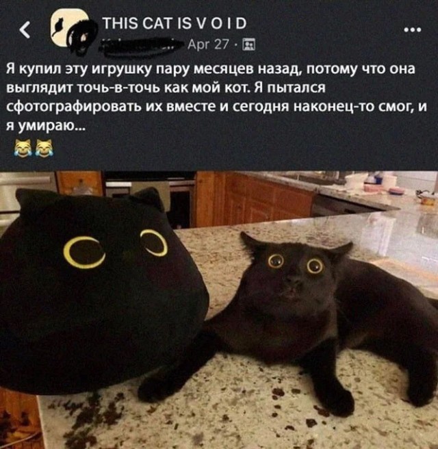 Скриншоты и комментарии из социальных сетей 16.09.22